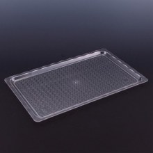 APSAL POLİKARBON ŞEFFAF KIRILMAZ TEŞHİR TEPSİ (NO:4) 25*40 CM
