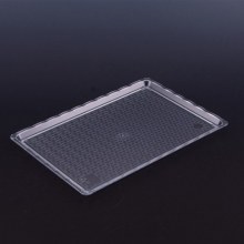 APSAL POLİKARBON ŞEFFAF KIRILMAZ TEŞHİR TEPSİ (NO:3) 20*30 CM